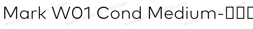 Mark W01 Cond Medium字体转换